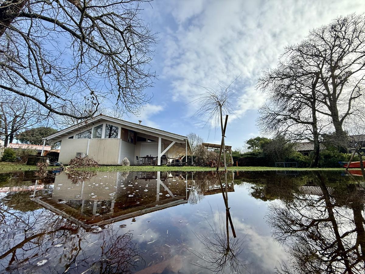 Le jardin de la maison de Véronique Mailhes transformé en piscine naturelle